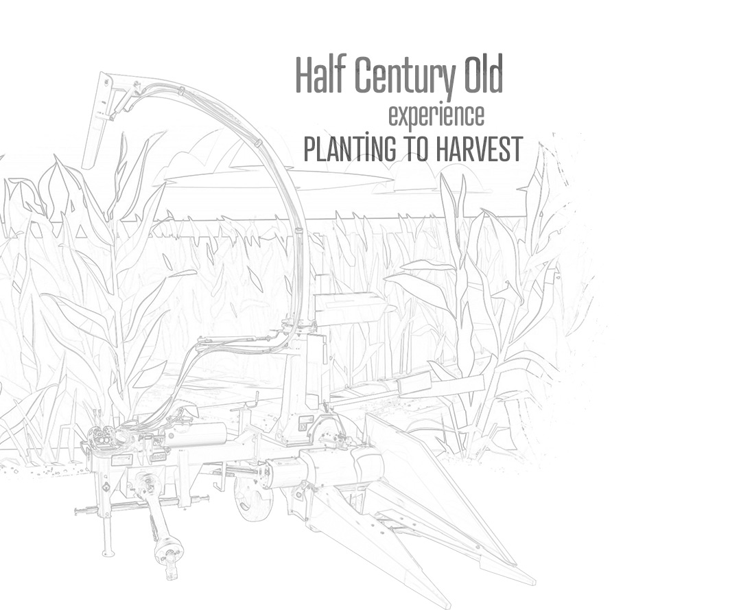 Half Century old experience planting to harvest